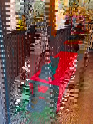 Magasin d'objets sur les chats