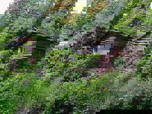 Jardin du musée Nezu