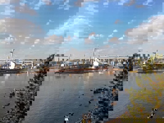 Rainbow Bridge Odaiba