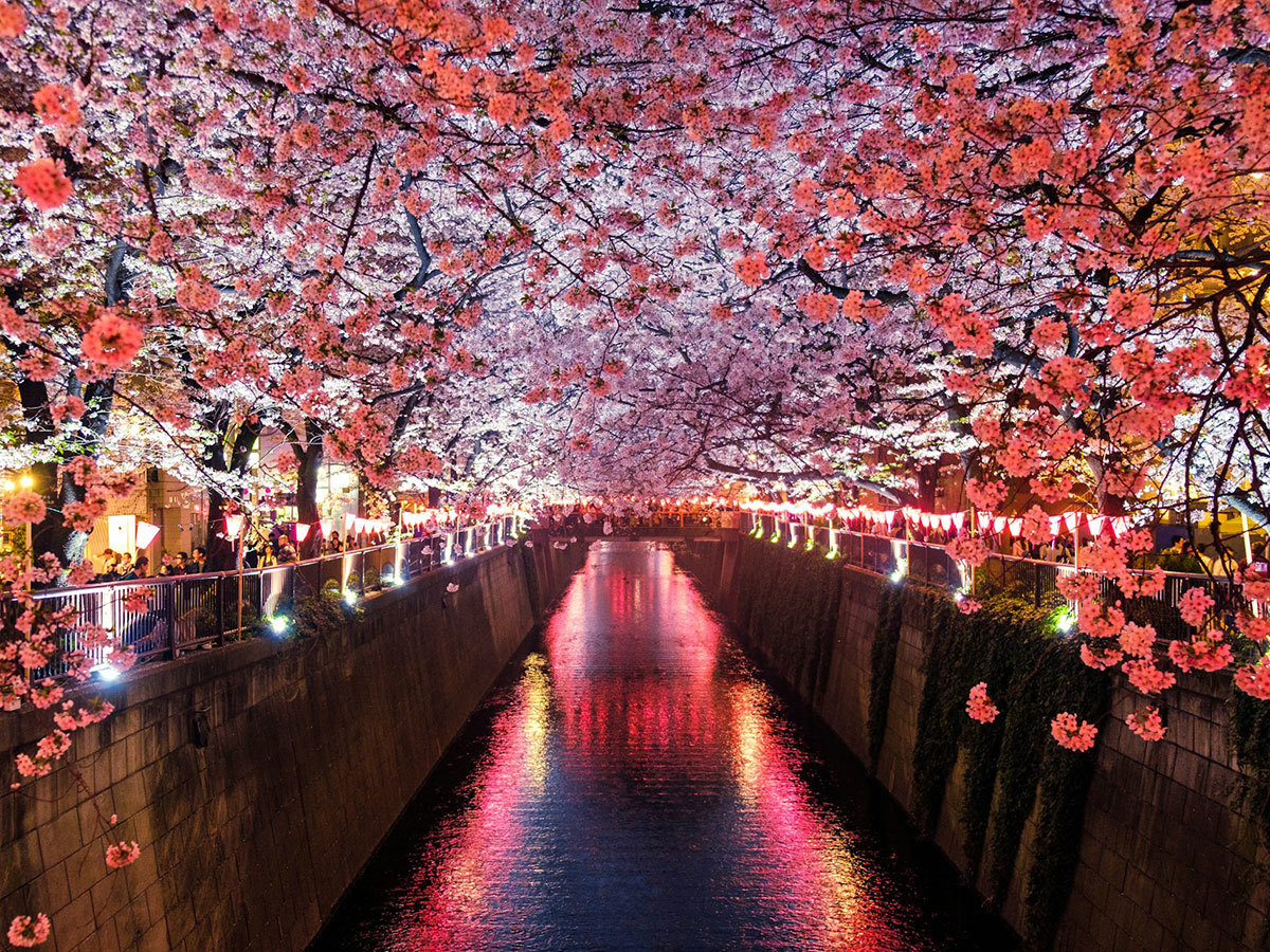 Le Japon est‑il fait pour moi ?
