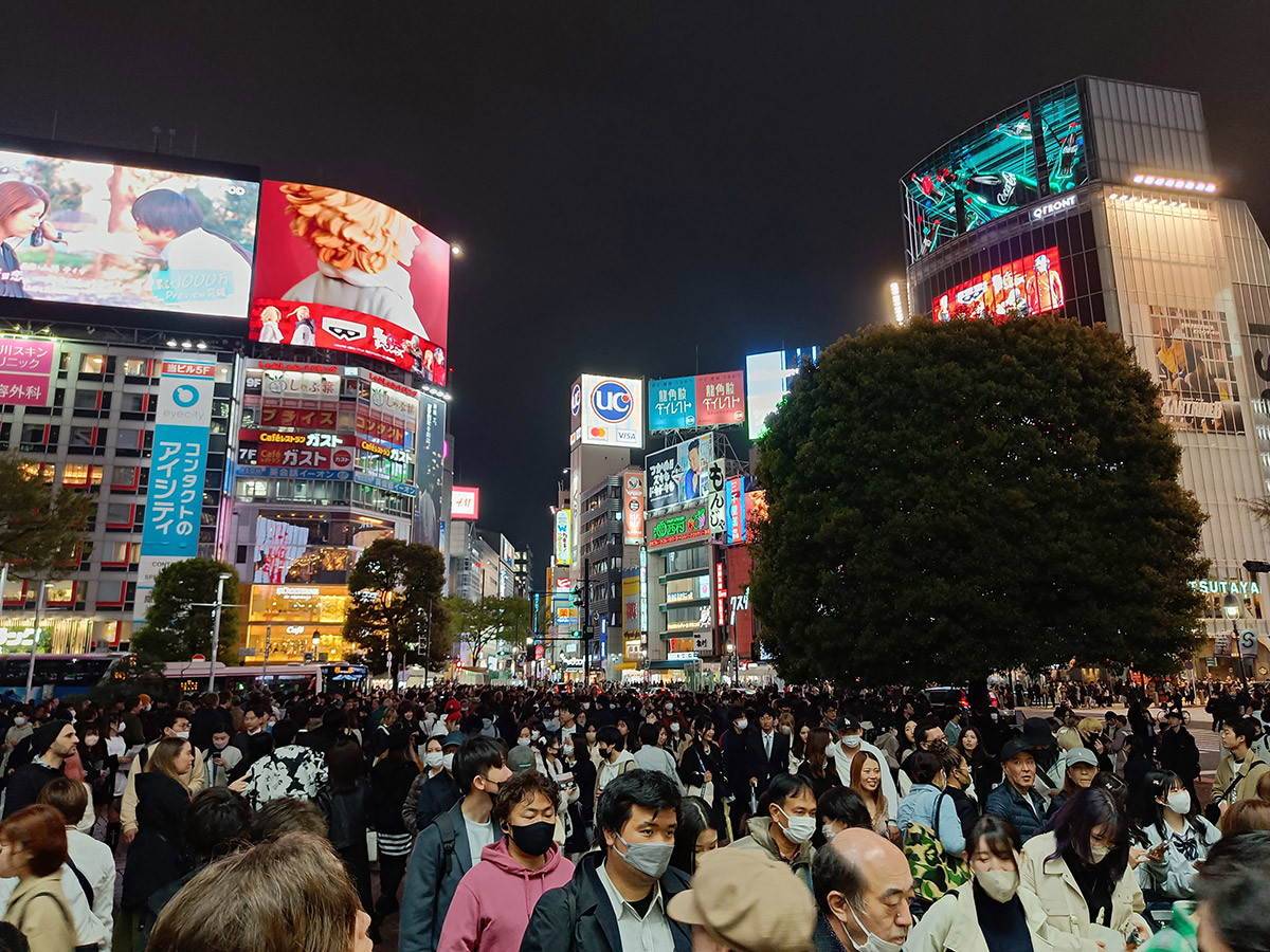 Voyager au Japon en 2024 ?