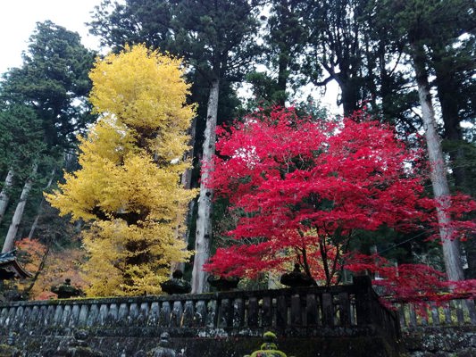 Automne à Nikkô
