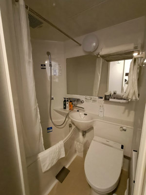 Salle de bain de la chambre