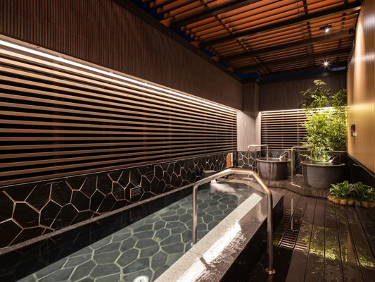 Bain de l'hôtel APA Ueno Ekiminami