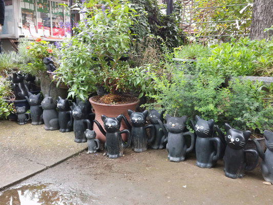 Jour de pluie au temple des chats d'Asakusa