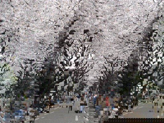 Cimetière de Yanaka