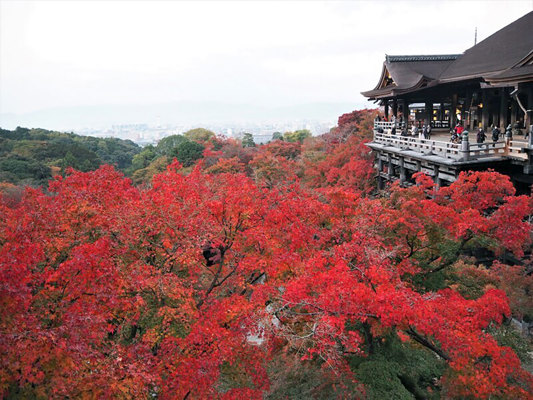 Kyomizu-dera, Kyôto