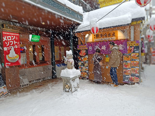 Otaru à Hokkaidô, janvier