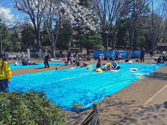 Zone de pique-nique au parc Inokashira