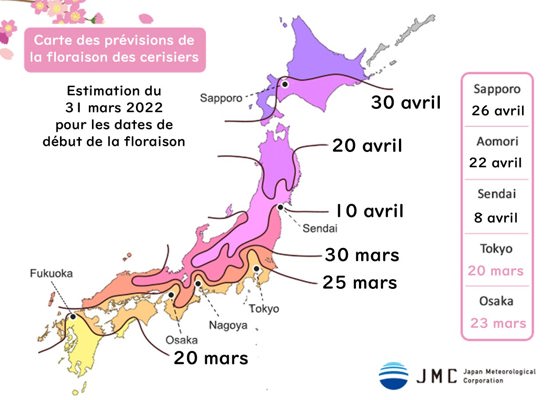 Prévisions de floraison des cerisiers par la JMA