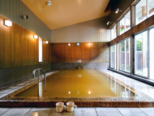 Onsen dans les Alpes Japonaises