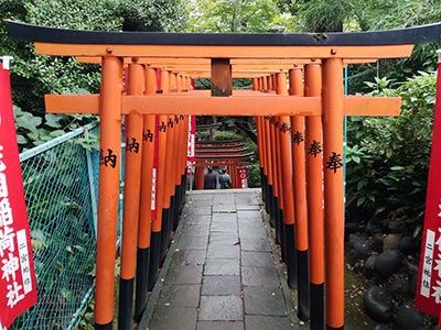 Allée de Torii