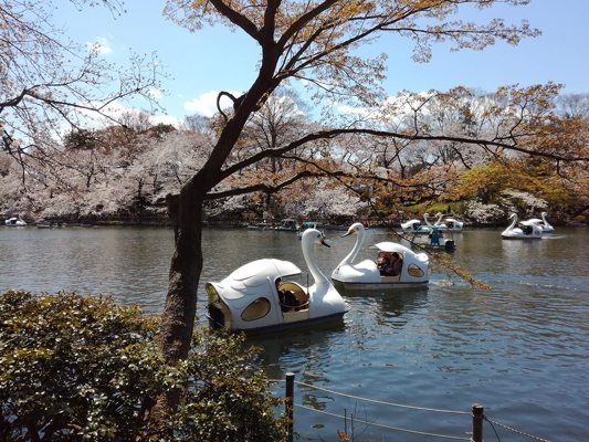 Parc de Ueno