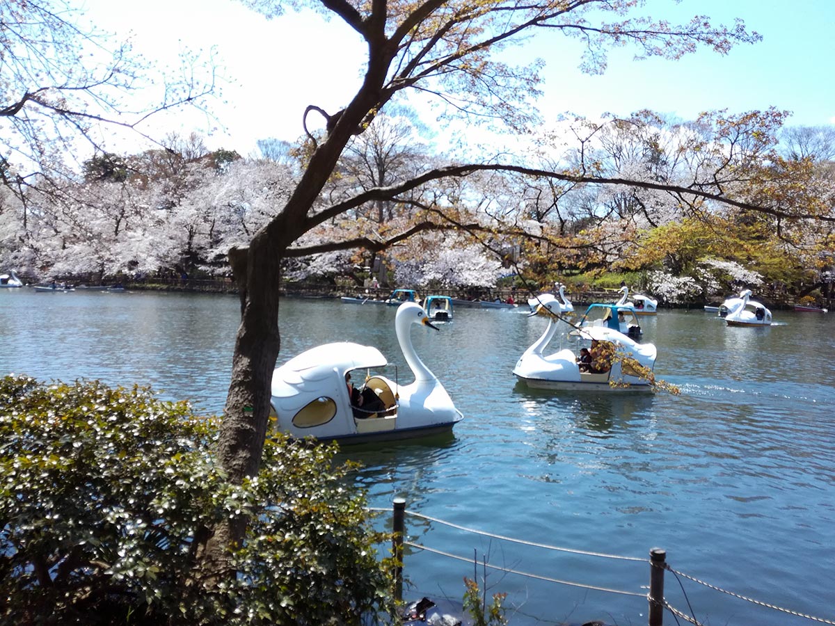 Parc de Ueno