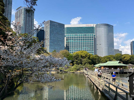 Etang de Shioiri au printemps
