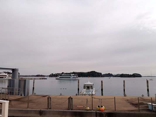Vue de l'île depuis la côte