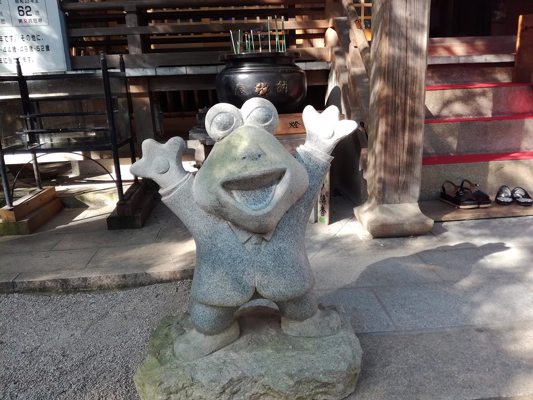 Grenouille en extérieur