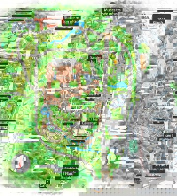 Plan du sanctuaire Meiji Jingû