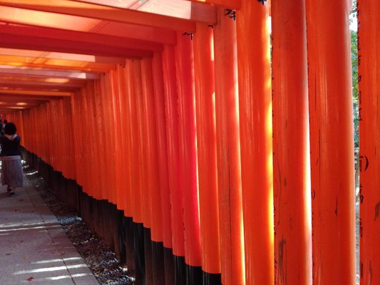 Chemin Senbon Torii