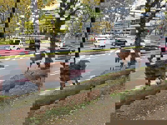 Seule la route les arr&ecirc;tent !