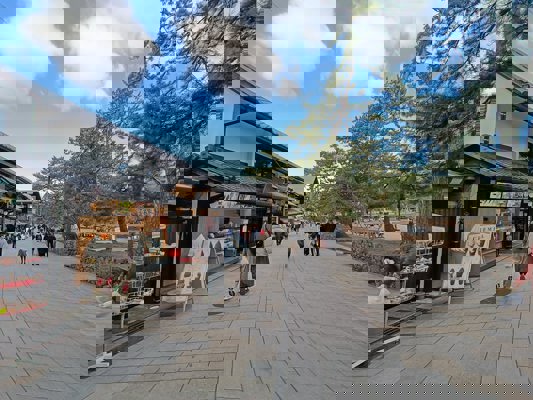 Commerces au bord du parc