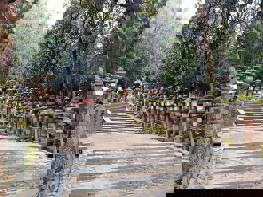 Lanternes du Kasuga Taisha