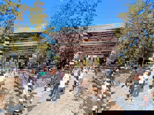 Biches devant la porte du Todai-ji