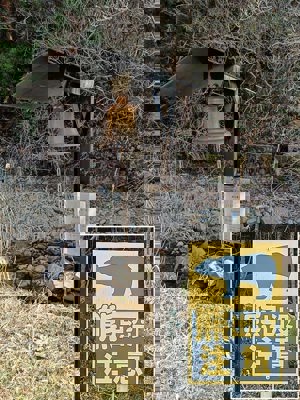 Cloche contre les ours !