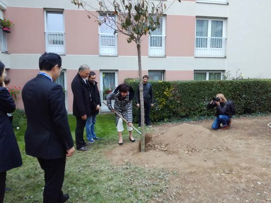 Premier arbre planté