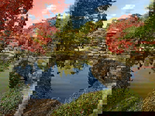Jardin Kôko-en en automne