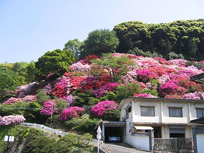 Jardin du Tatsumaki Jigoku