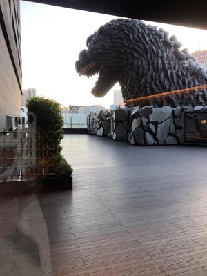 Point de vue depuis la terrasse