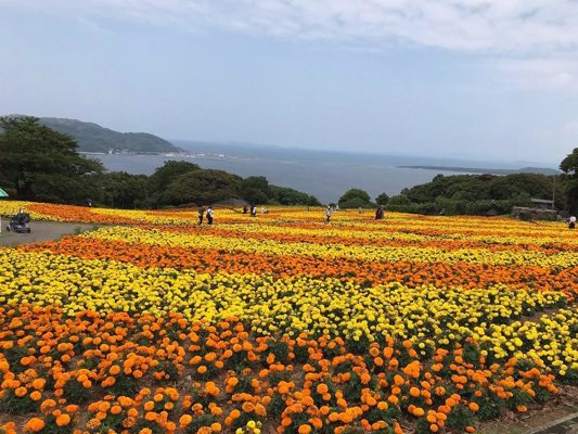 Parc de Nokonoshima
