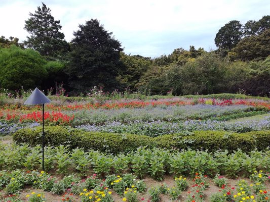Parc de Nokonoshima