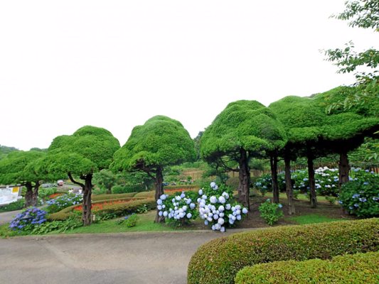 Parc de Nokonoshima