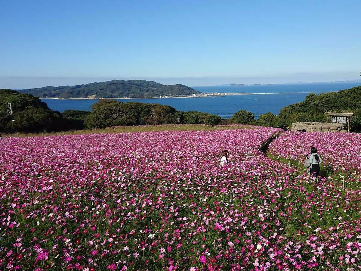 Le parc de Nokonoshima