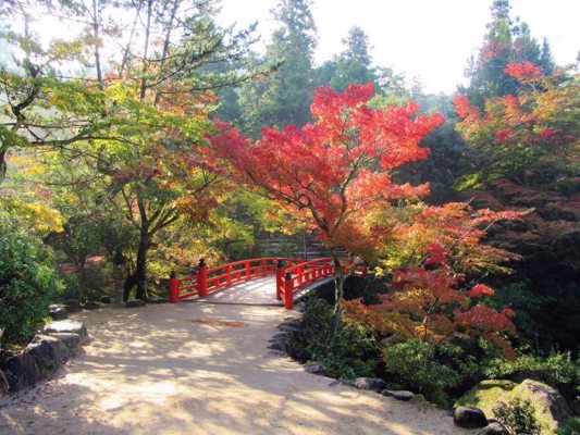 Chemin du circuit Momijidani